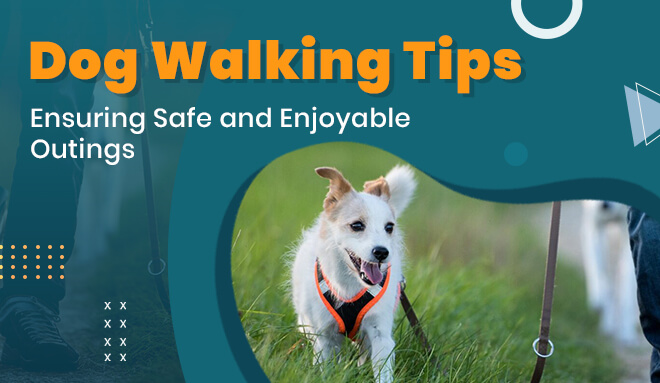 Dog Walking Tips: Ensuring Safe and Enjoyable Outings