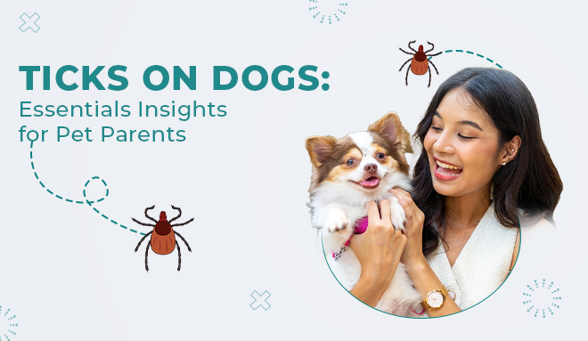 Ticks on Dogs: Essential Insights for Pet Parents