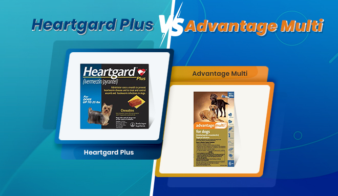 Heartgard Plus vs. Advantage Multi: Which is the Better Choice for your Dog?